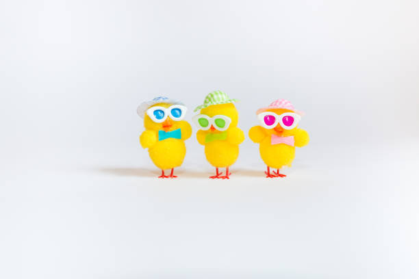 istock Easter decoration with three funny yellow chicks isolated on white background. Easter holiday concept. 1095034254