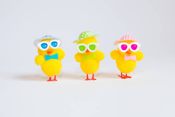 istock Easter decoration with three funny yellow chicks isolated on white background. Easter holiday concept. 1095034316