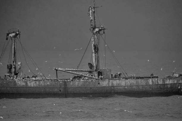 istock Shipwreck of Captain Leonidas 1095049602