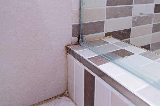 anti-higiênico mofo sujo na casa de banho no piso de cerâmica - mold damaged home interior wall - fotografias e filmes do acervo