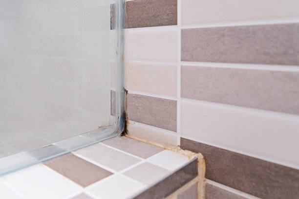 unhygienic dirty mildew in bathroom on ceramic floor - mold imagens e fotografias de stock