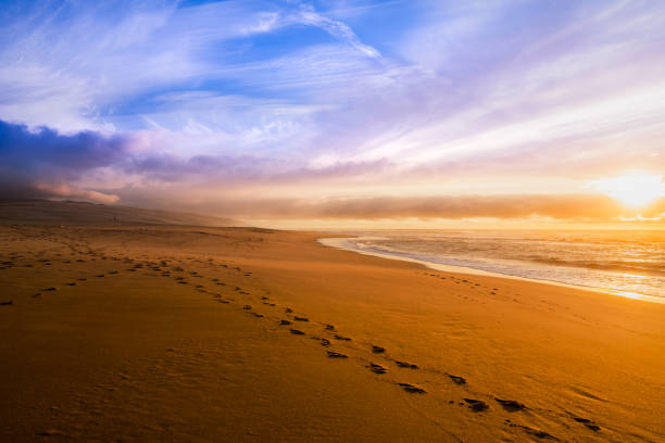 Tranquility scene of empty sand beach with footprints on the sand, lonely birds and colorful cloudy sky.
