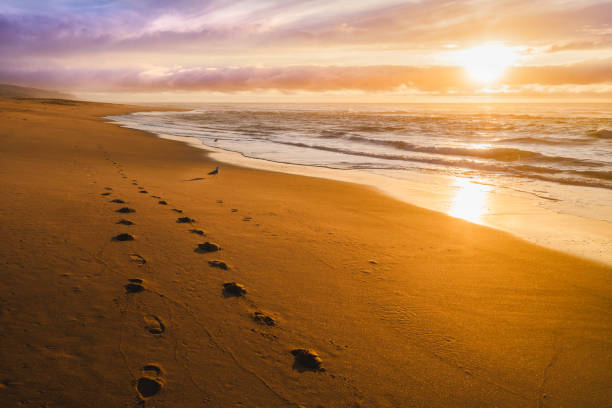 istock Beautiful Sunset on a Beach with footprints on the sand 1095052570