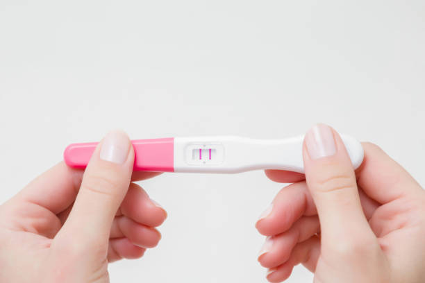 Young woman's hands holding pregnancy test with two stripes on gray background. Positive result. Closeup. Point view shot. Empty place for text. Young woman's hands holding pregnancy test with two stripes on gray background. Positive result. Closeup. Point view shot. Empty place for text. gynecological examination photos stock pictures, royalty-free photos & images