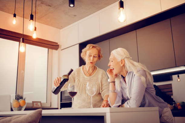 istock Delighted elderly women standing in the kitchen 1095066544