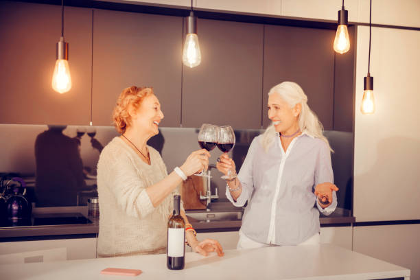 istock Positive aged sisters having a pleasant conversation 1095066574