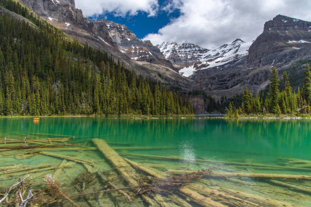 istock Lake Ohara hiking trail in cloudy day in Spring, Yoho, Canada. 1095074300