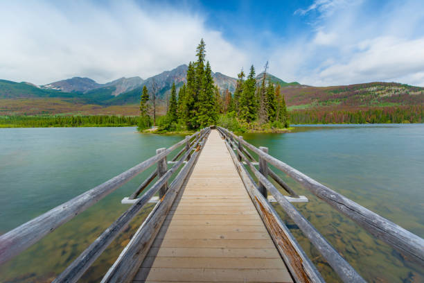 Jasper National Park, Alberta, Canada.