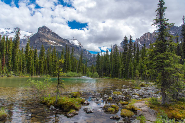 istock Lake Ohara hiking trail in cloudy day in Spring, Yoho, Canada. 1095074692