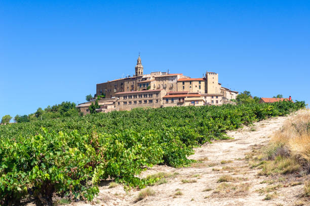 istock Vineyard with Labraza town as background, Rioja Alavesa, Spain 1095080686