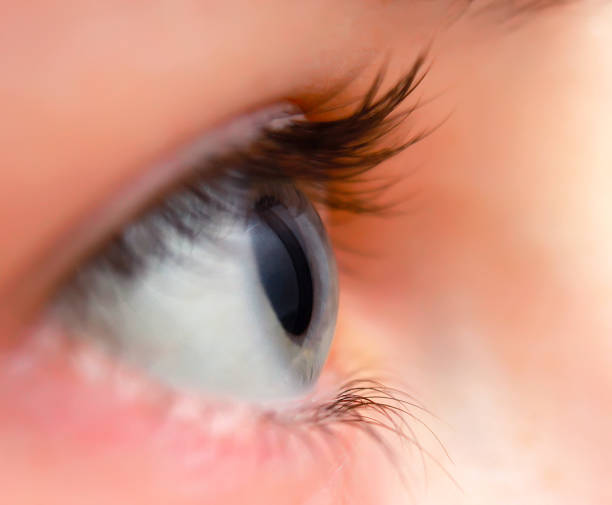 istock Female eye with long eyelashes close up 1095083334