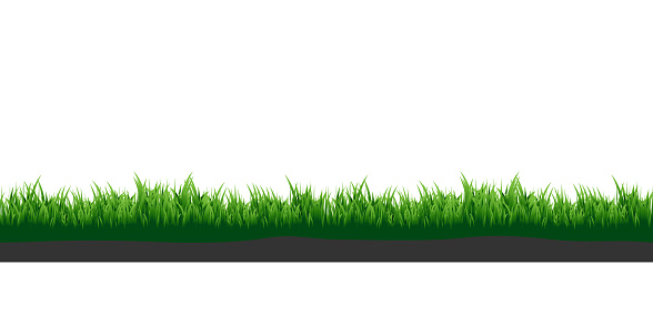 Green grass. Meadow grass with soil. Elements for your design.