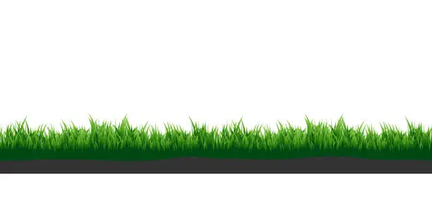Vector illustration of Green grass. Meadow grass with soil. Elements for your design.