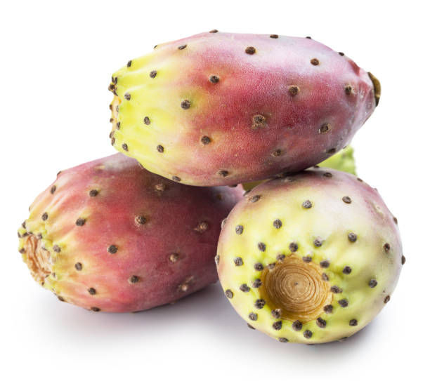 istock Opuntia fruit or prickly pear fruit. 1095084116