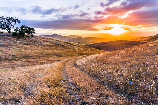 Walking path on the grassy hills of south San Francisco bay area at sunset, San Jose, California