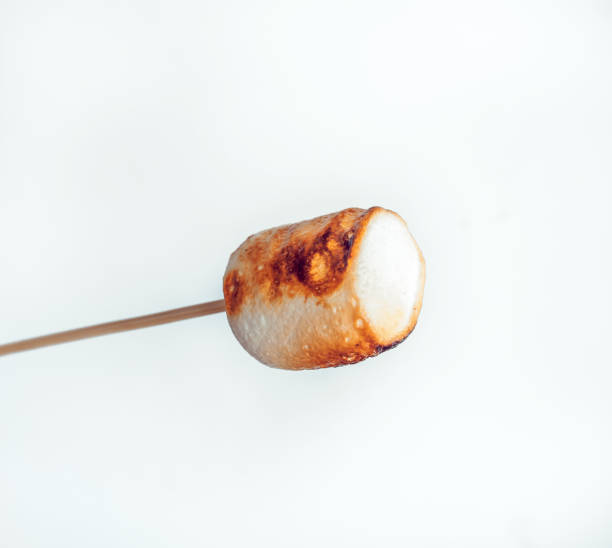 istock roasted marshmallows on a skewer on white background 1095088952