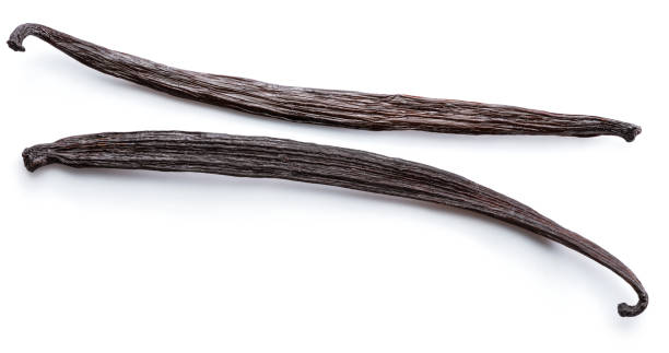 istock Dried vanilla fruits. 1095089346