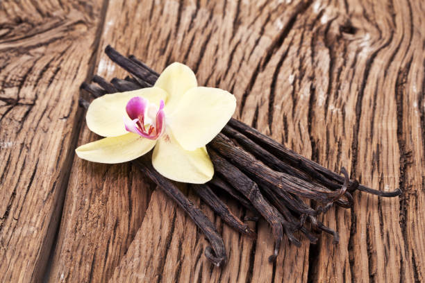 istock Dried vanilla pods and orchid vanilla flower. 1095089348