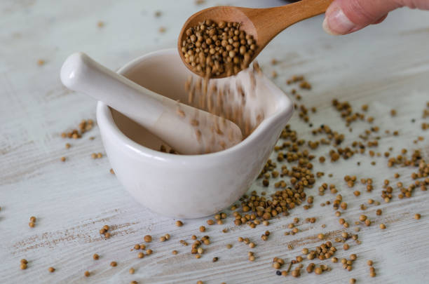 磁器モルタルのコリアンダーの種子 - mortar and pestle spice seasoning coriander seed ストックフォトと画像