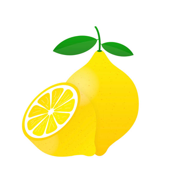 Lemon Yellow Lemon Vector Illustration Isolated On White