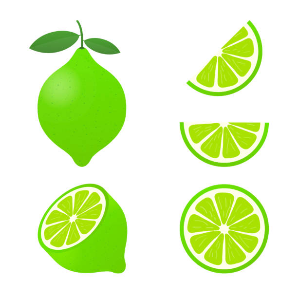 ilustraciones, imágenes clip art, dibujos animados e iconos de stock de cal con hojas verdes, cortar fruta cítrica aislado sobre fondo blanco. ilustración de vector. - lime wedge