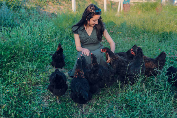 istock woman loving chickens 1095097572