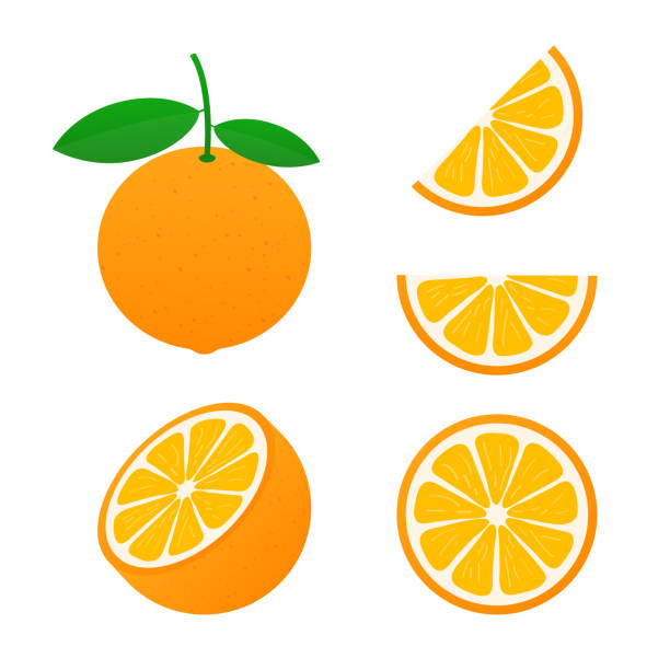 Orange with leaves whole and slices of oranges. Vector illustration of oranges. Orange with leaves whole and slices of oranges. Vector stock illustration of oranges. 3686 stock illustrations