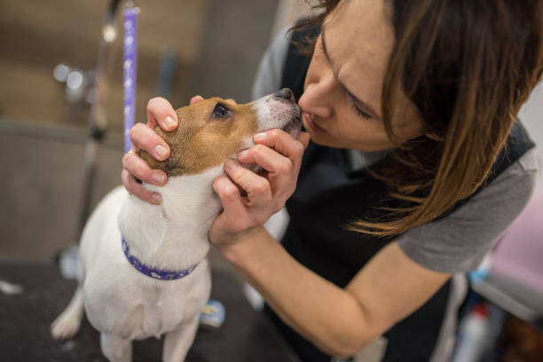 istock Groomer kissing dog 1095105876
