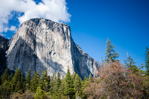El Capitan against a vivid blue sky in Yosemite National Park