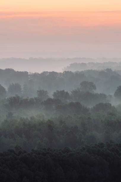 istock Mystical view from top on forest under haze at early morning. Eerie mist among layers from tree silhouettes in taiga under predawn sky. Morning atmospheric minimalistic landscape of majestic nature. 1095148440