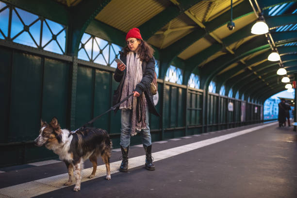 istock Hipster girl waiting on a train with her dog 1095149780