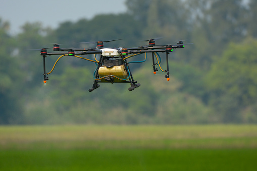 Agricultural drone working in rice field, Thailand, Smart Farm, Unmanned Aerial Vehicle. (UAV)