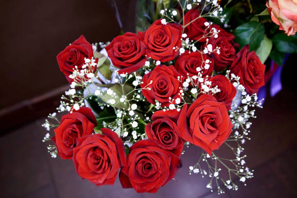 istock Bouquet of blossoming dark red roses. 1095168636