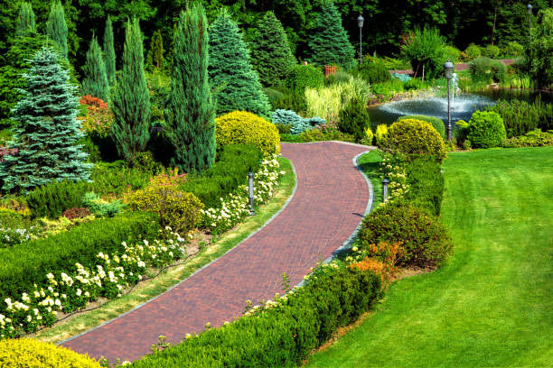 istock red pavement walkway in the backyard with landscape design and various bush plants and trees, top view of the walkway for a walk in the garden. 1095170108