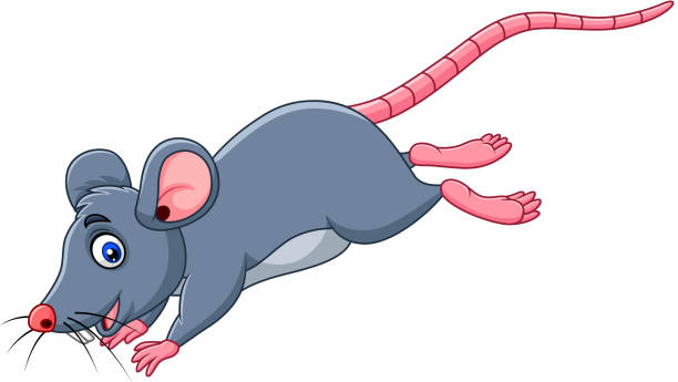 Cartoon Funny Mouse Jumping Stock Illustration - Download Image Now -  Running, Mouse - Animal, Rat - iStock