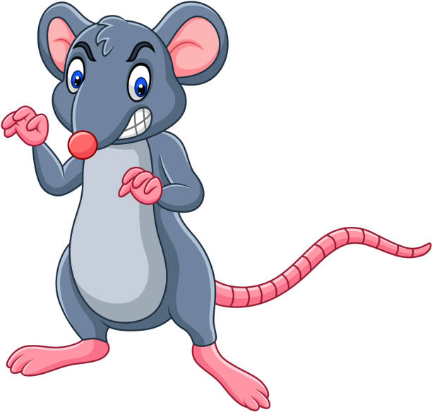 Cartoon Rat With Angry Expression Stock Illustration - Download Image Now -  Mouse - Animal, Animal, Aggression - iStock