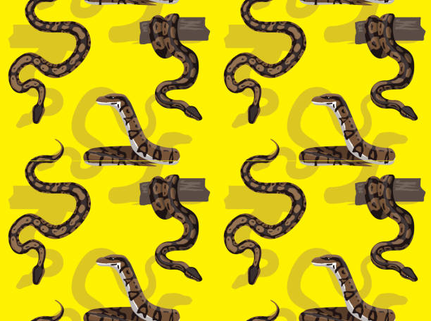 snake royal python cartoon hintergrund seamless wallpaper - royal python stock-grafiken, -clipart, -cartoons und -symbole