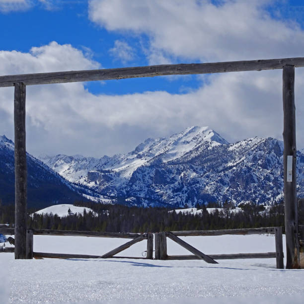 istock Rugged Cattle Country of Beauty 1095182698
