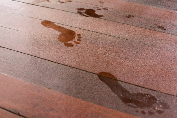 istock Footprints on dusty wooden floor texture background 1095188934