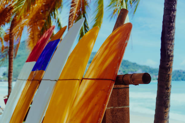 istock Many surfboards beside coconut trees at summer beach with sun light and blue sky background. 1095198882
