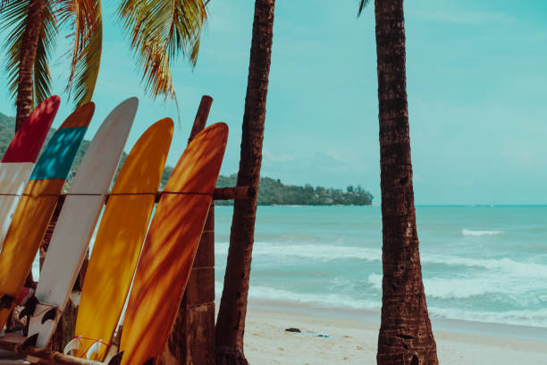 istock Many surfboards beside coconut trees at summer beach with sun light and blue sky background. 1095198886