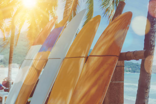 istock Many surfboards beside coconut trees at summer beach with sun light and blue sky background. 1095198890