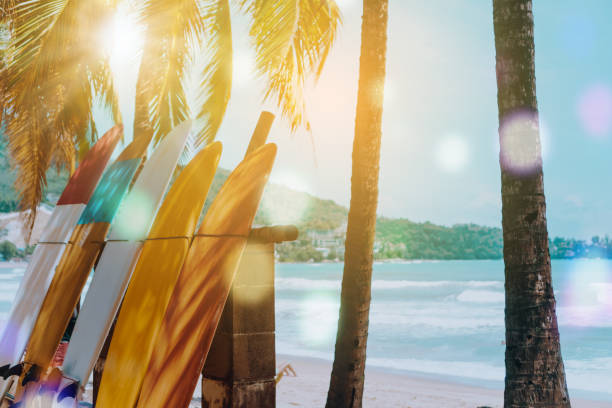 istock Many surfboards beside coconut trees at summer beach with sun light and blue sky background. 1095198920