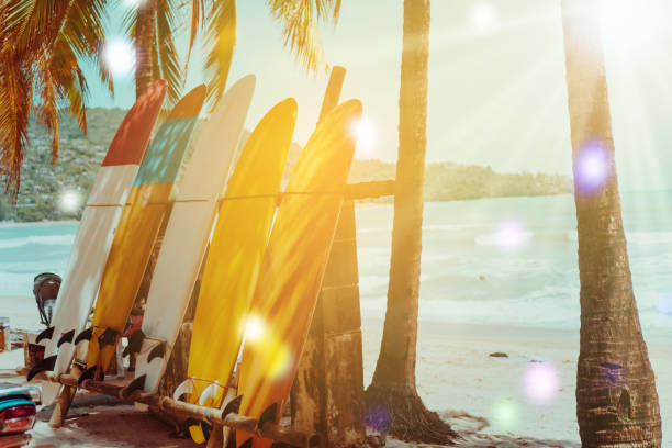 istock Many surfboards beside coconut trees at summer beach with sun light and blue sky background. 1095198926