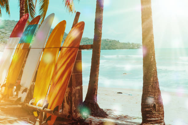 istock Many surfboards beside coconut trees at summer beach with sun light and blue sky background. 1095198928