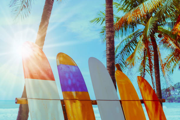 istock Many surfboards beside coconut trees at summer beach with sun light and blue sky background. 1095199002