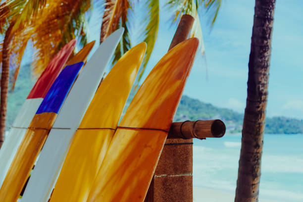 istock Many surfboards beside coconut trees at summer beach with sun light and blue sky background. 1095199012