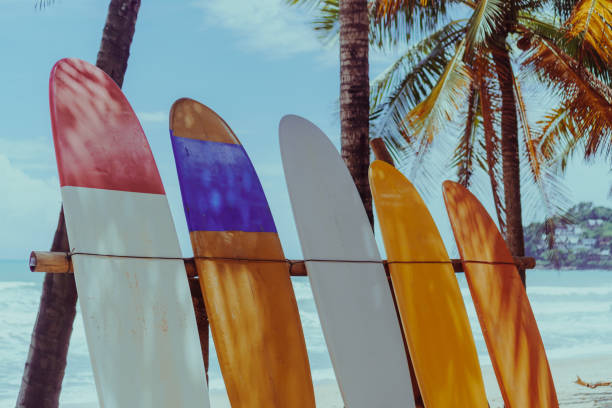 istock Many surfboards beside coconut trees at summer beach with sun light and blue sky background. 1095199014