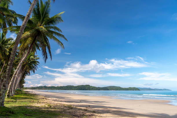 istock Philippines - Beautiful Landscape at San Vincente Long Beach, Palawan 1095199380