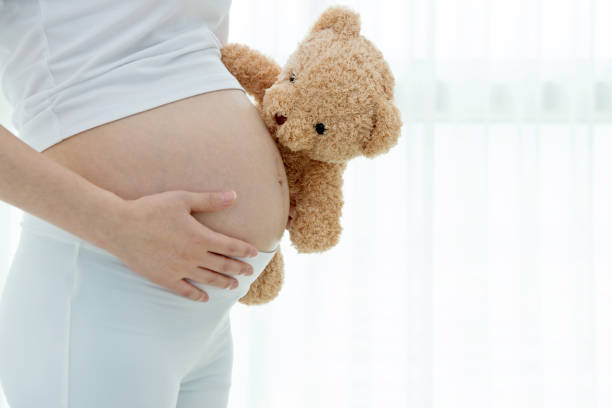 istock Pregnant woman holding a teddy bear 1095200654
